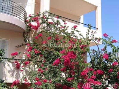 Lamno Hotel 3